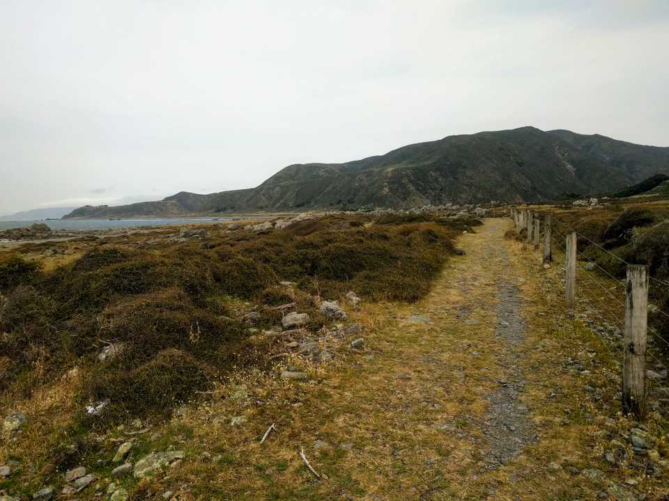 south coast looking west